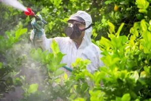 Disinfestazioni Ecosostenibili