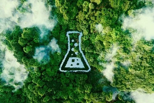 Al momento stai visualizzando Disinfestazioni Ecosostenibili