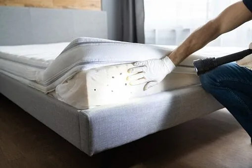 Scopri di più sull'articolo Disinfestazione Cimici da Letto