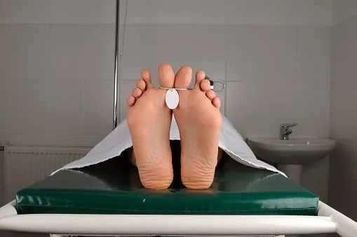 Al momento stai visualizzando Pulizie Post Mortem