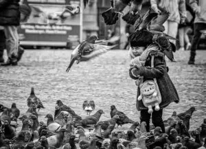 perché allontanare i volatili molesti Bari?